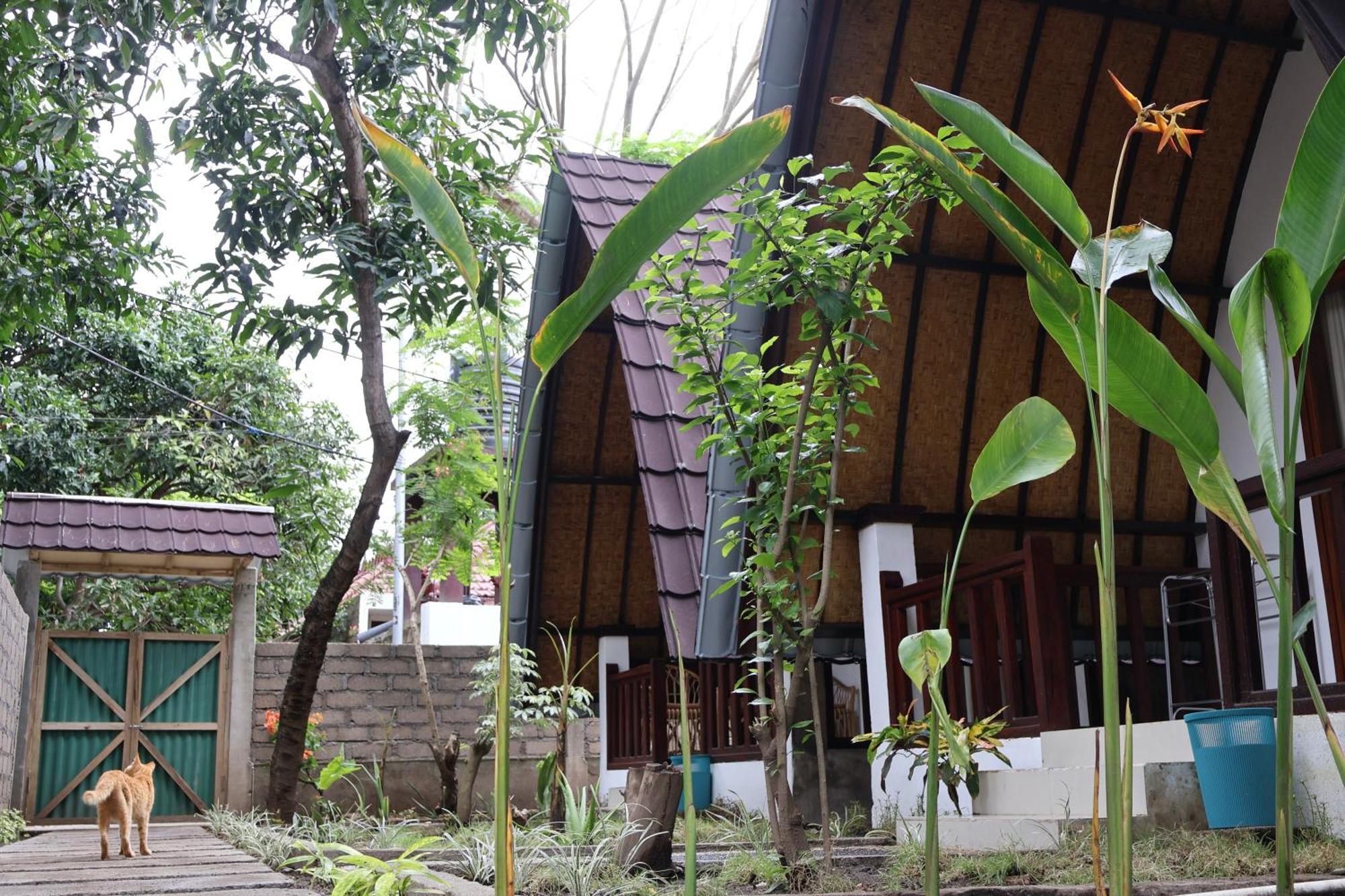 Rumah Gemala Gili Islands Exterior photo